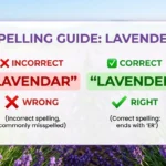 lavender or lavendar