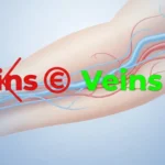 vains or veins