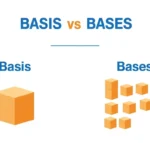 basis or bases