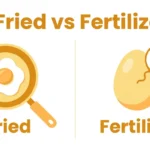 fried or fertilized